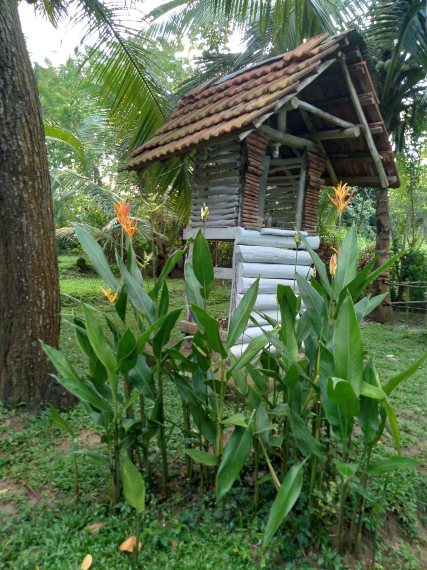 Home In The Island Tangalle Exterior foto