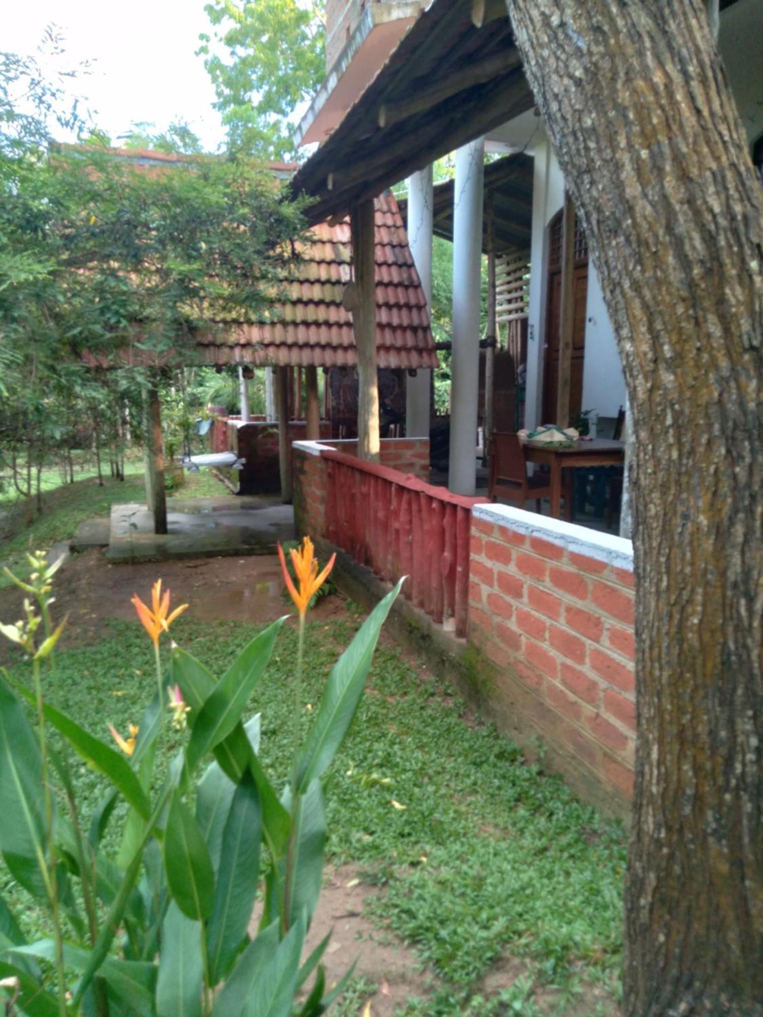 Home In The Island Tangalle Exterior foto