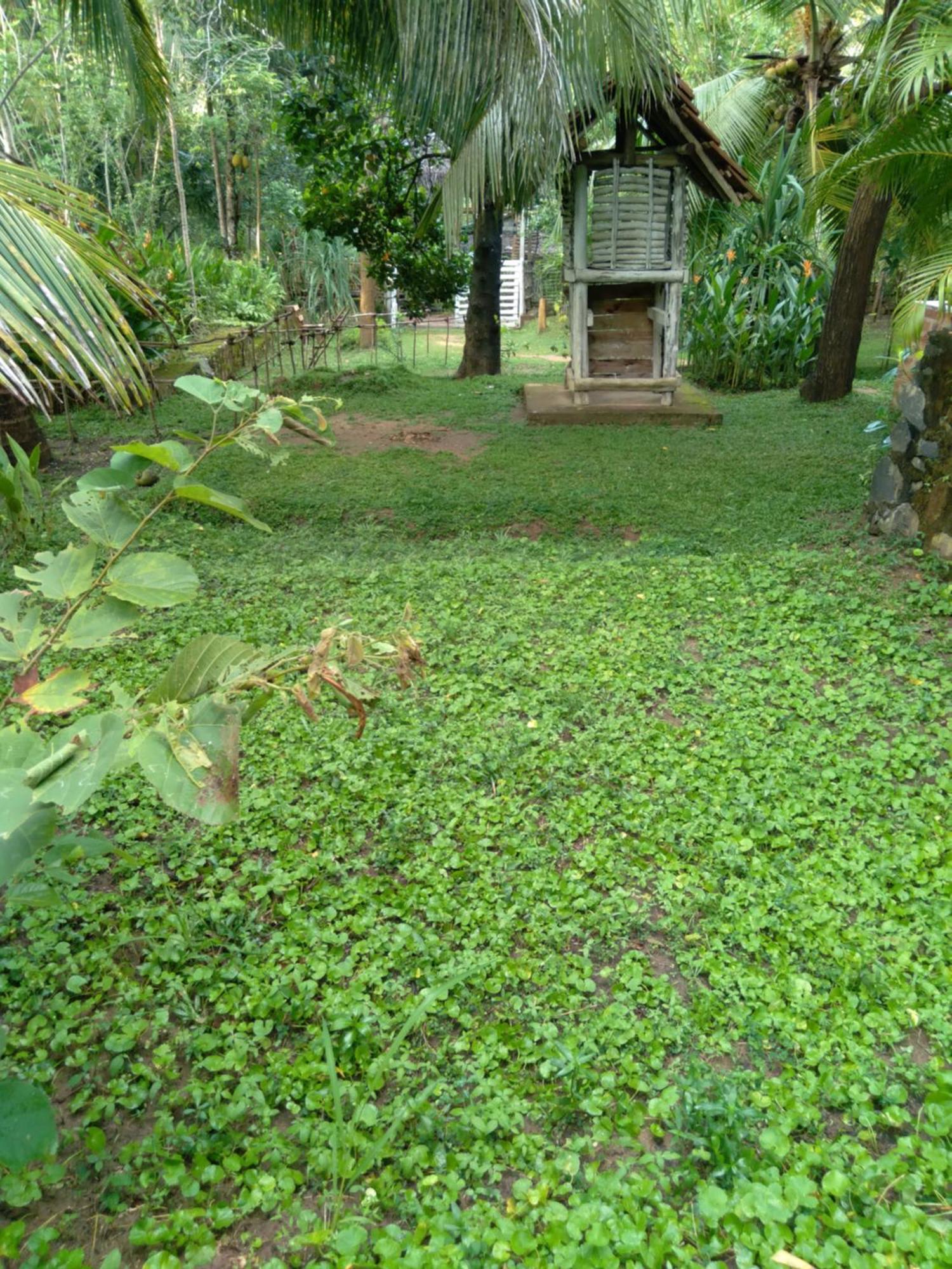 Home In The Island Tangalle Exterior foto