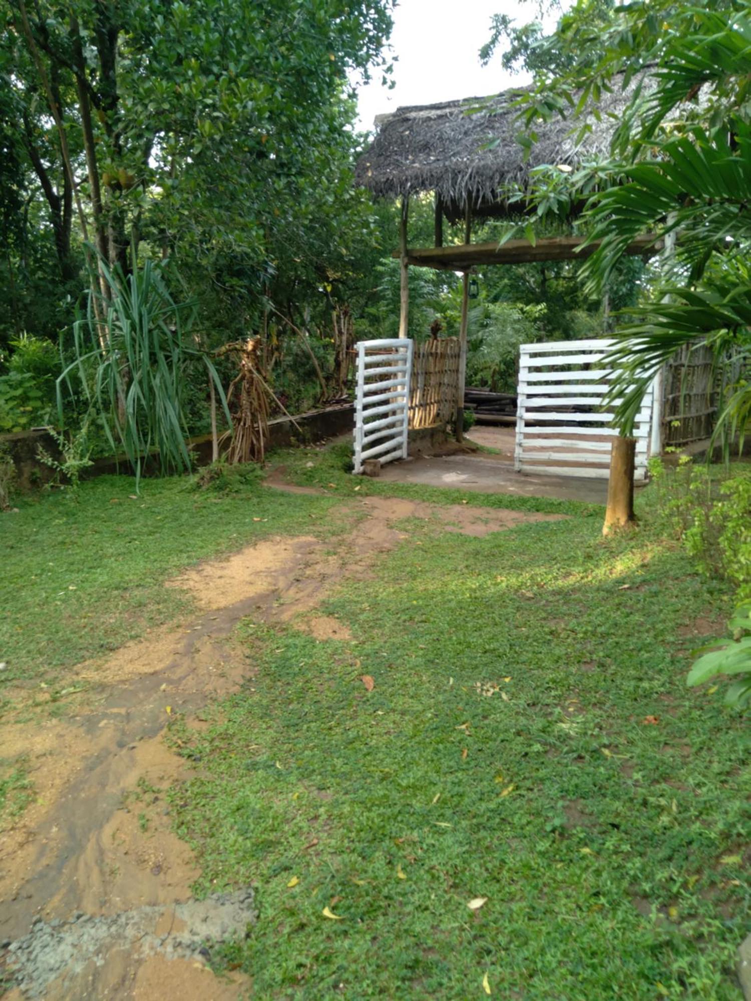 Home In The Island Tangalle Exterior foto