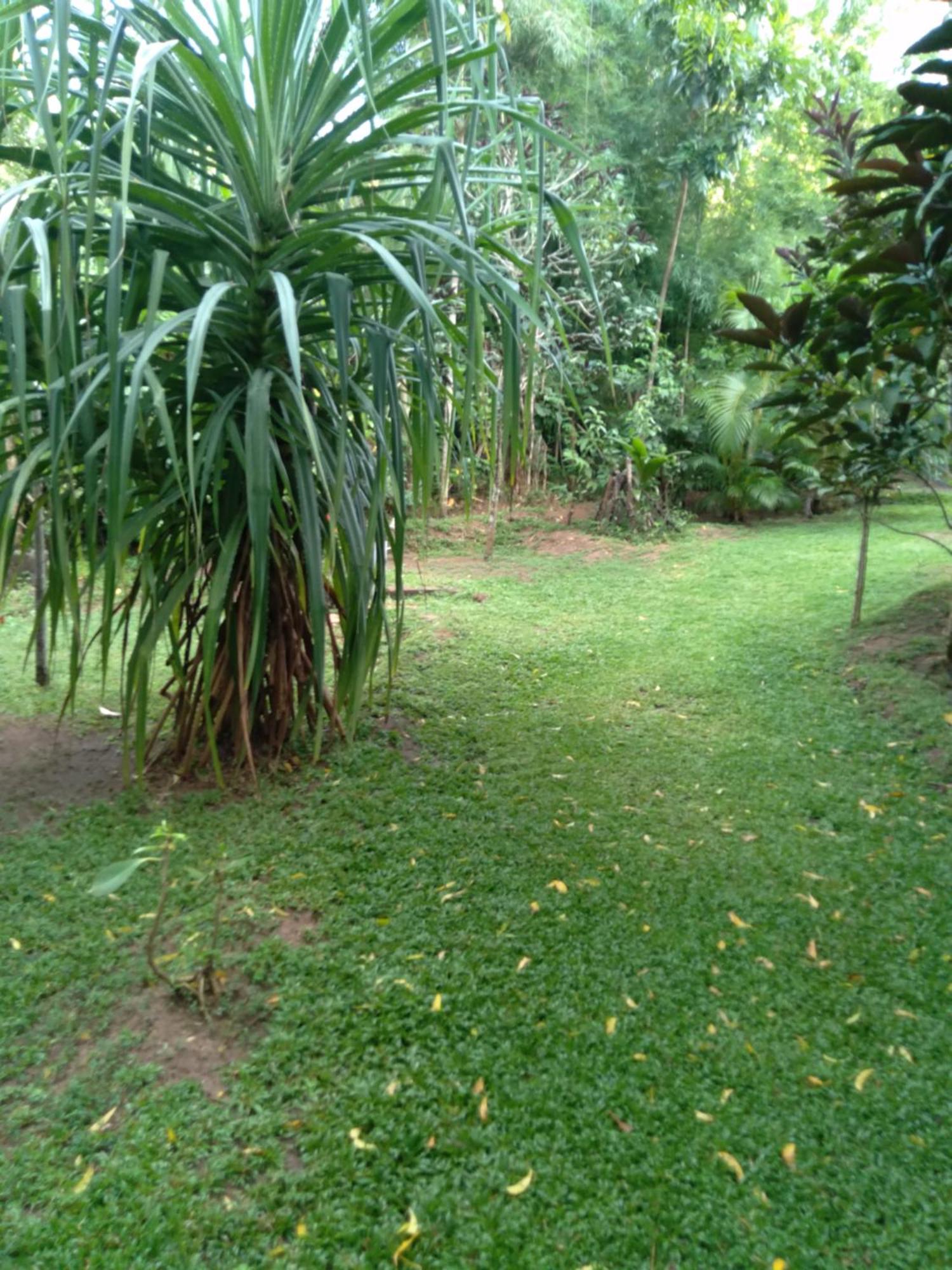 Home In The Island Tangalle Exterior foto